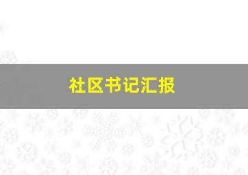 社区书记汇报