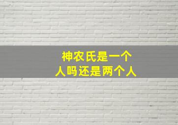 神农氏是一个人吗还是两个人