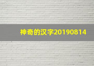 神奇的汉字20190814