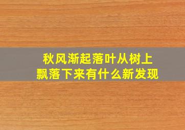 秋风渐起落叶从树上飘落下来有什么新发现