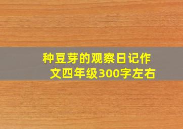 种豆芽的观察日记作文四年级300字左右