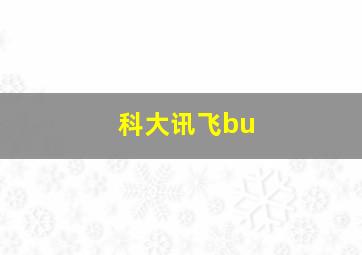 科大讯飞bu