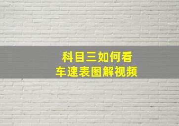 科目三如何看车速表图解视频