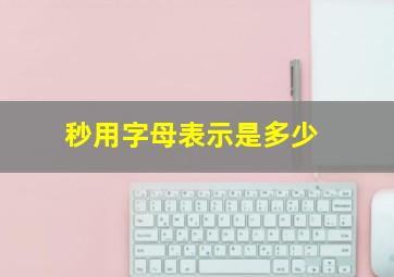 秒用字母表示是多少