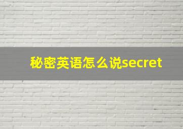 秘密英语怎么说secret