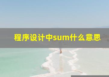 程序设计中sum什么意思