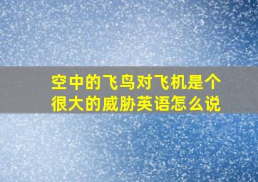 空中的飞鸟对飞机是个很大的威胁英语怎么说