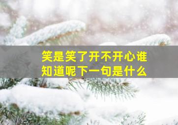 笑是笑了开不开心谁知道呢下一句是什么