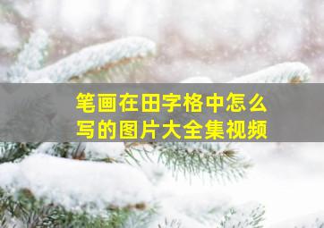 笔画在田字格中怎么写的图片大全集视频