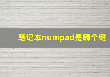 笔记本numpad是哪个键