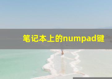 笔记本上的numpad键