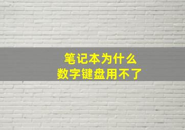 笔记本为什么数字键盘用不了