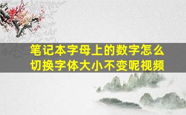 笔记本字母上的数字怎么切换字体大小不变呢视频