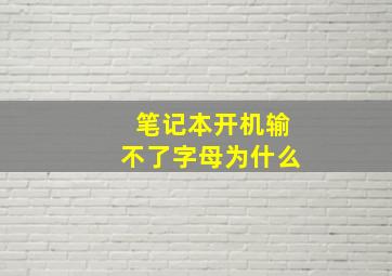 笔记本开机输不了字母为什么