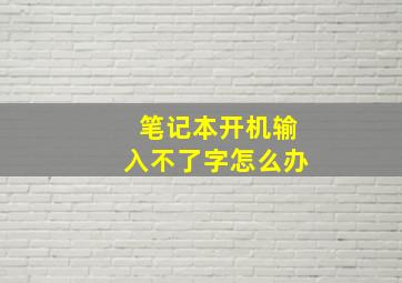 笔记本开机输入不了字怎么办