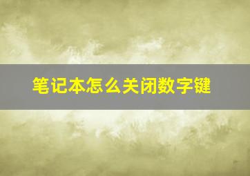 笔记本怎么关闭数字键