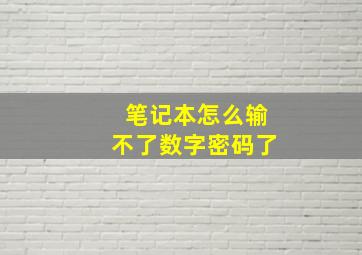 笔记本怎么输不了数字密码了