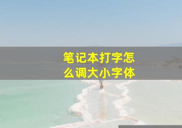 笔记本打字怎么调大小字体