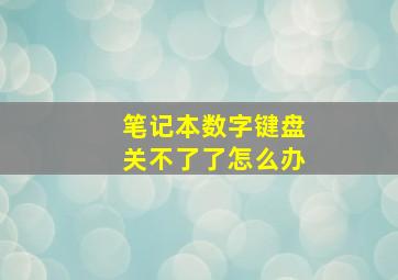 笔记本数字键盘关不了了怎么办