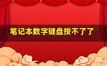 笔记本数字键盘按不了了