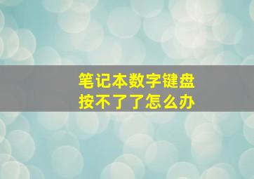 笔记本数字键盘按不了了怎么办