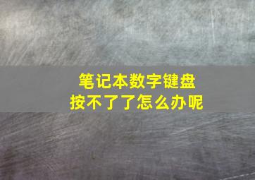 笔记本数字键盘按不了了怎么办呢