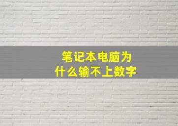 笔记本电脑为什么输不上数字