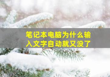 笔记本电脑为什么输入文字自动就又没了