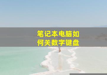 笔记本电脑如何关数字键盘