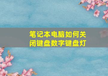 笔记本电脑如何关闭键盘数字键盘灯