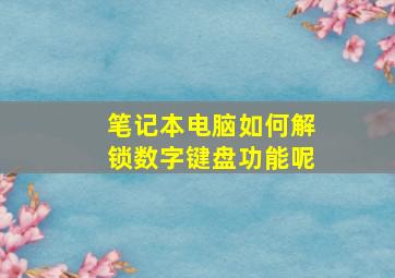 笔记本电脑如何解锁数字键盘功能呢