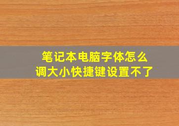 笔记本电脑字体怎么调大小快捷键设置不了