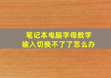 笔记本电脑字母数字输入切换不了了怎么办