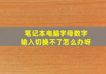 笔记本电脑字母数字输入切换不了怎么办呀