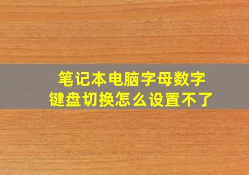 笔记本电脑字母数字键盘切换怎么设置不了