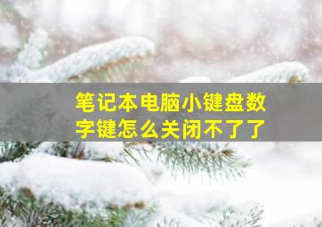 笔记本电脑小键盘数字键怎么关闭不了了