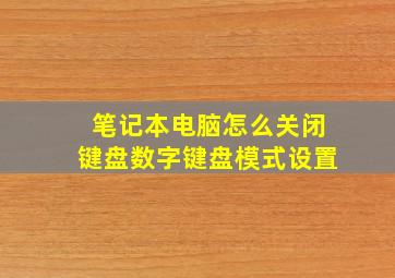 笔记本电脑怎么关闭键盘数字键盘模式设置