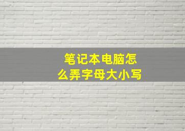 笔记本电脑怎么弄字母大小写