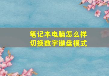 笔记本电脑怎么样切换数字键盘模式