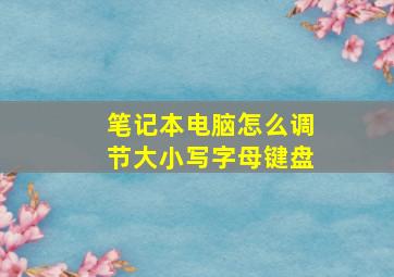 笔记本电脑怎么调节大小写字母键盘