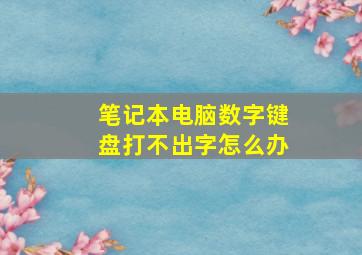 笔记本电脑数字键盘打不出字怎么办