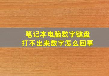 笔记本电脑数字键盘打不出来数字怎么回事