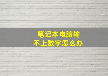 笔记本电脑输不上数字怎么办