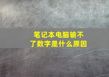 笔记本电脑输不了数字是什么原因