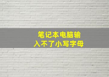 笔记本电脑输入不了小写字母