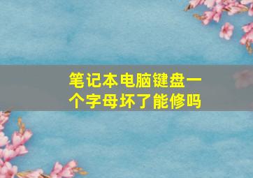 笔记本电脑键盘一个字母坏了能修吗