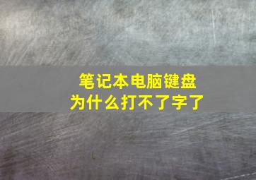 笔记本电脑键盘为什么打不了字了