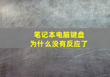 笔记本电脑键盘为什么没有反应了