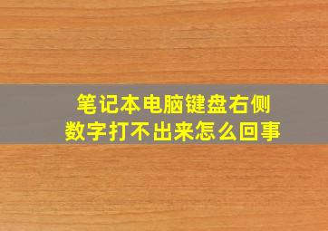 笔记本电脑键盘右侧数字打不出来怎么回事