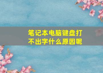 笔记本电脑键盘打不出字什么原因呢